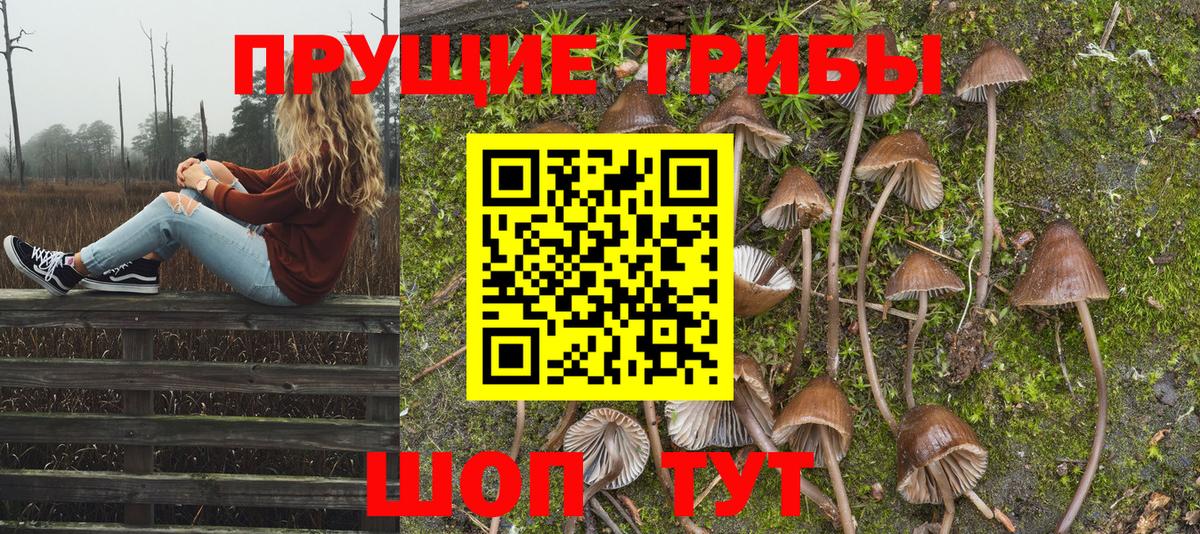 Ульяновск  дарнет шоп  Галлюциногенные грибы Psilocybe  Вход с VPN  Псилоцибиновые грибы Cubensis 