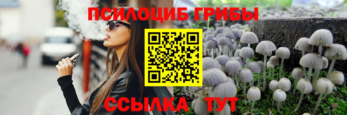 Псилоцибиновые грибы Psilocybine cubensis Ульяновск